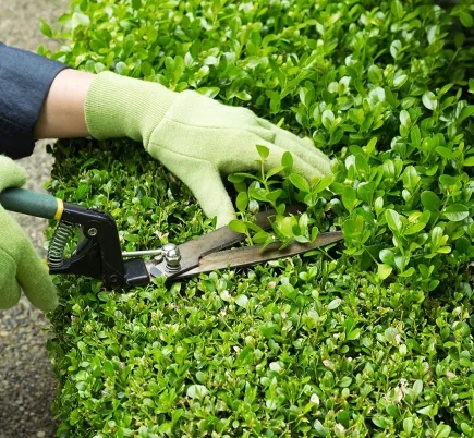 Entretien d’espaces verts 