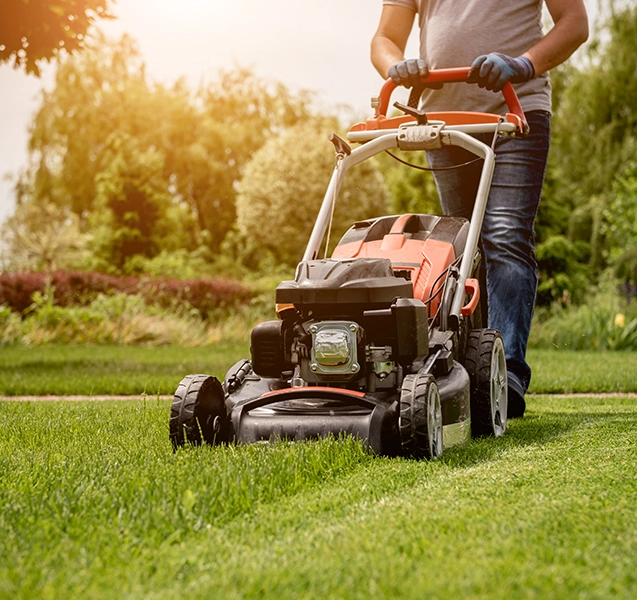Entretien des espaces verts pour Professionnels Buxerolles, Entretien des espaces verts pour Professionnels Vienne, Entretien des espaces verts pour Professionnels 86