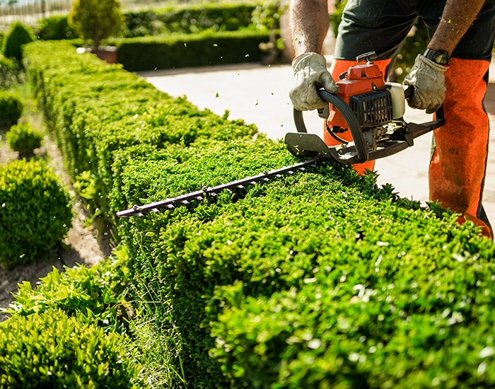 Entretien des espaces verts pour Professionnels Buxerolles, Entretien des espaces verts pour Professionnels Vienne, Entretien des espaces verts pour Professionnels 86