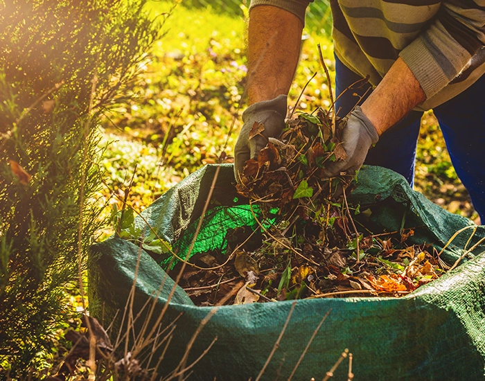Entretien des espaces verts pour Professionnels Buxerolles, Entretien des espaces verts pour Professionnels Vienne, Entretien des espaces verts pour Professionnels 86