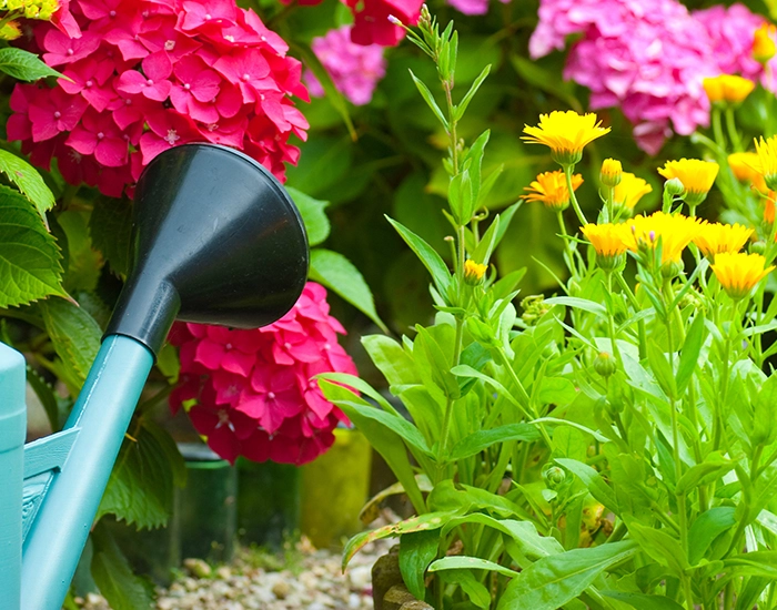 Entretien des espaces verts pour Professionnels Buxerolles, Entretien des espaces verts pour Professionnels Vienne, Entretien des espaces verts pour Professionnels 86