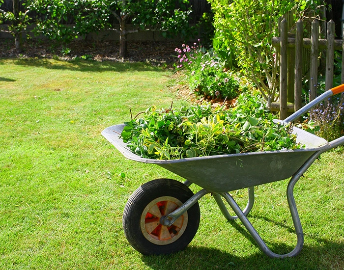 Entretien des espaces verts pour Professionnels Buxerolles, Entretien des espaces verts pour Professionnels Vienne, Entretien des espaces verts pour Professionnels 86